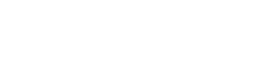 Roof Leak Repair Specialists